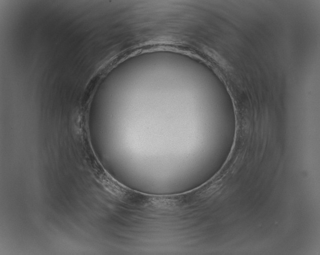 X0000073991258200608281305