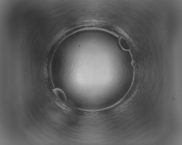 X0000073991259200608281305