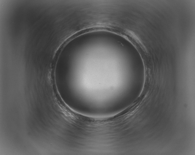 X0000073991260200608281305