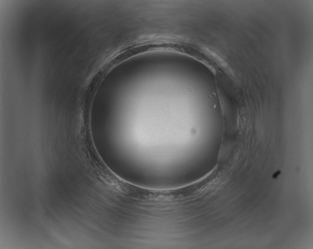 X0000073991261200608281305