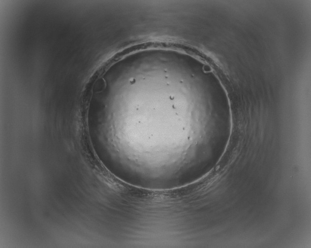 X0000073991263200608281305