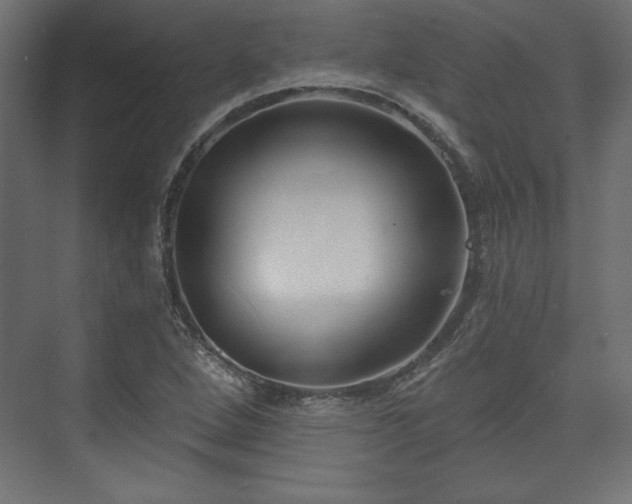 X0000073991264200608281305