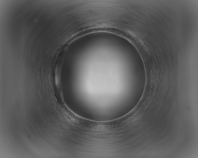 X0000073991265200608281304