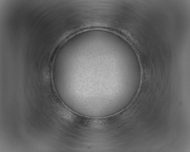 X0000073991266200608281304