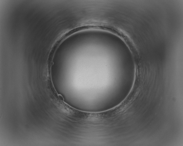 X0000073991267200608281304