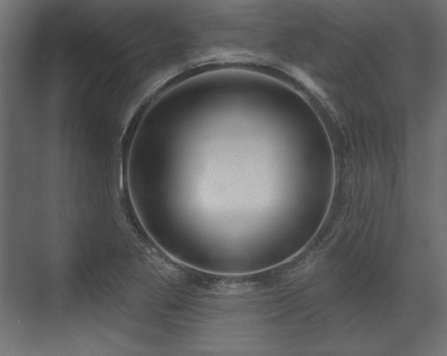 X0000073991269200608281304