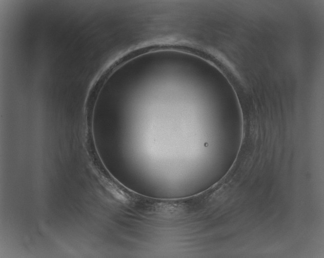 X0000073991270200608281304