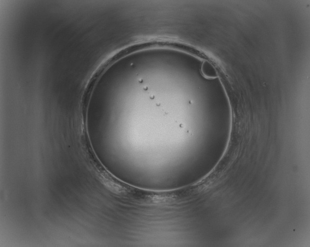 X0000073991271200608281304