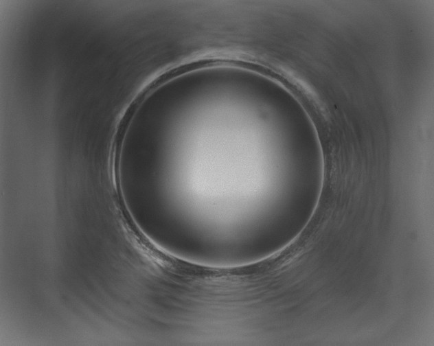 X0000073991272200608281304