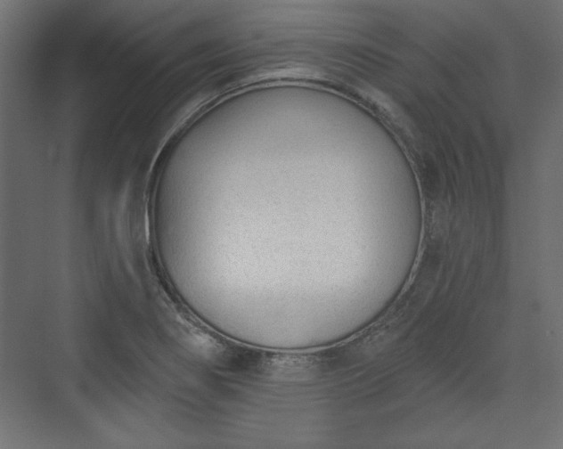 X0000073991274200608281304