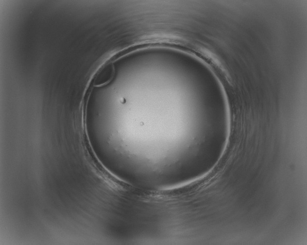 X0000073991275200608281304