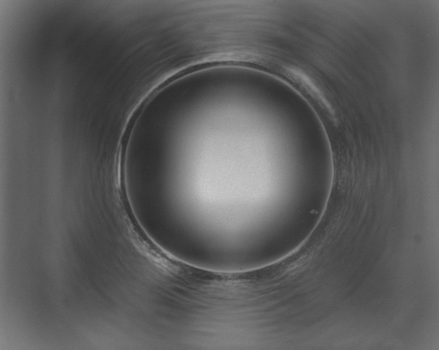 X0000073991276200608281304