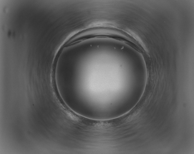 X0000073991277200608281304