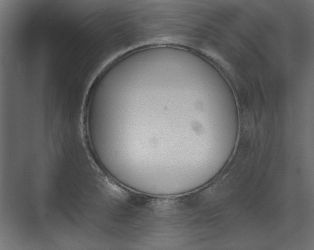 X0000073991278200608281304