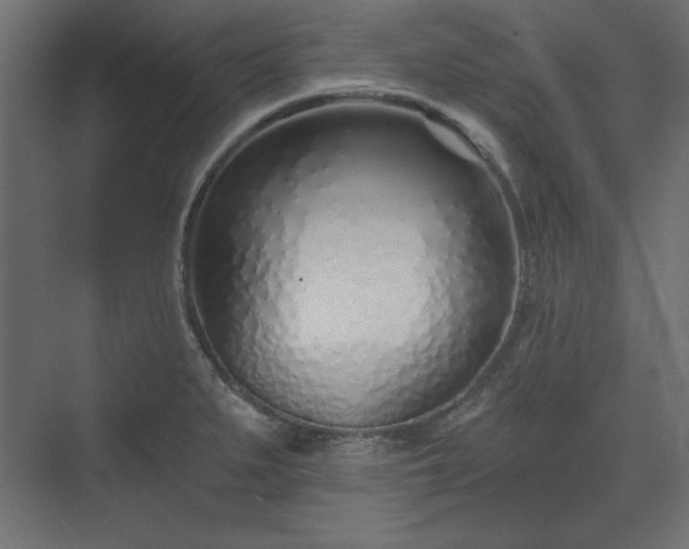 X0000073991279200608281304