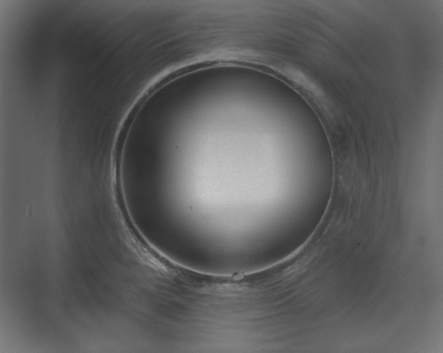 X0000073991280200608281304