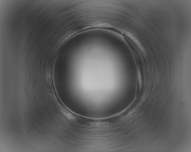 X0000073991281200608281304