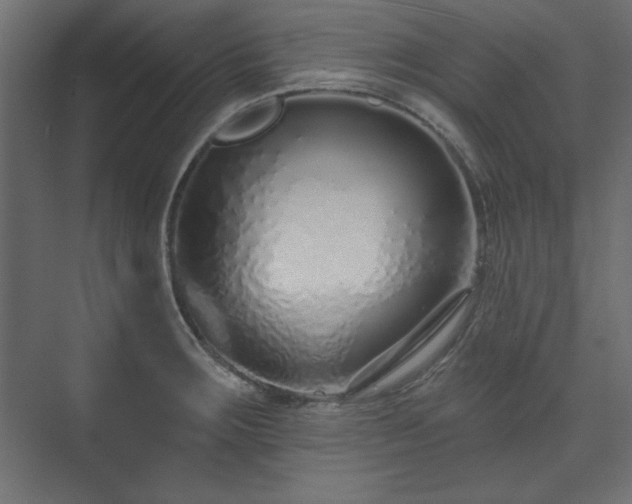 X0000073991283200608281304