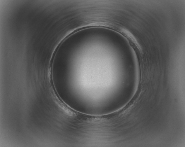 X0000073991284200608281304