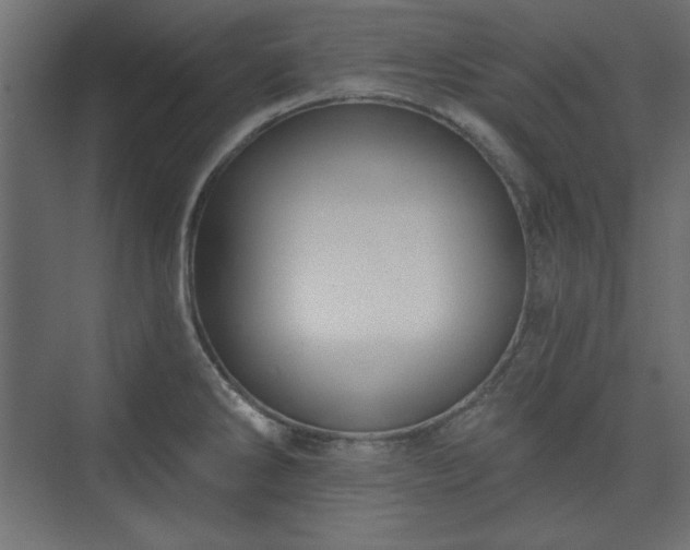 X0000073991286200608281304