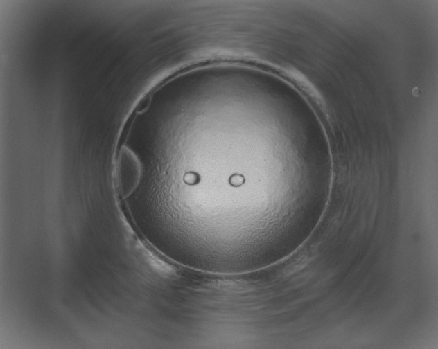 X0000073991287200608281304