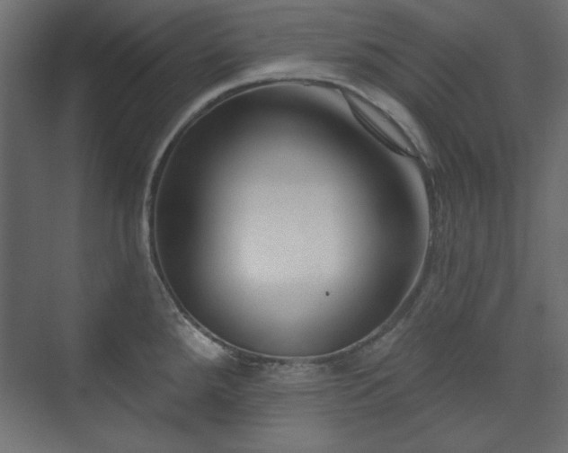 X0000073991288200608281304