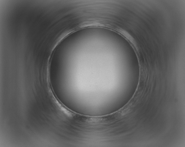 X0000073991290200608281304