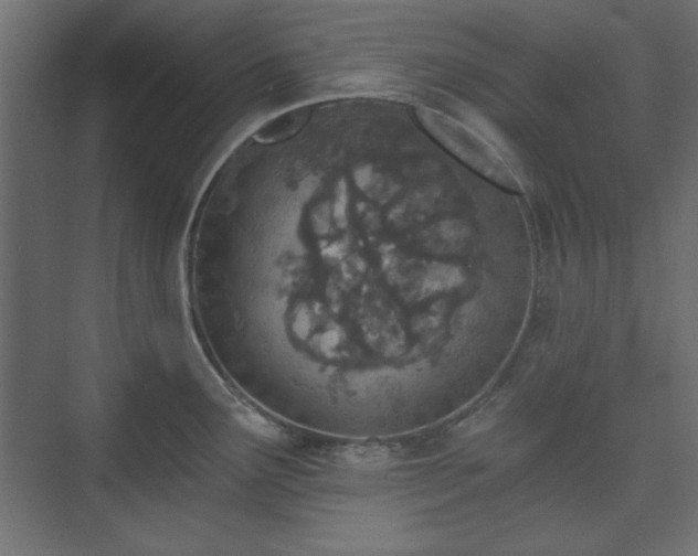 X0000073991291200608281304