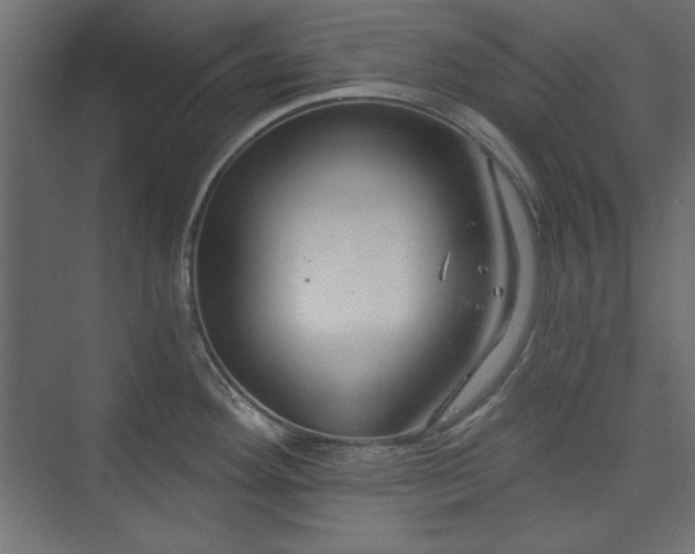 X0000073991292200608281304