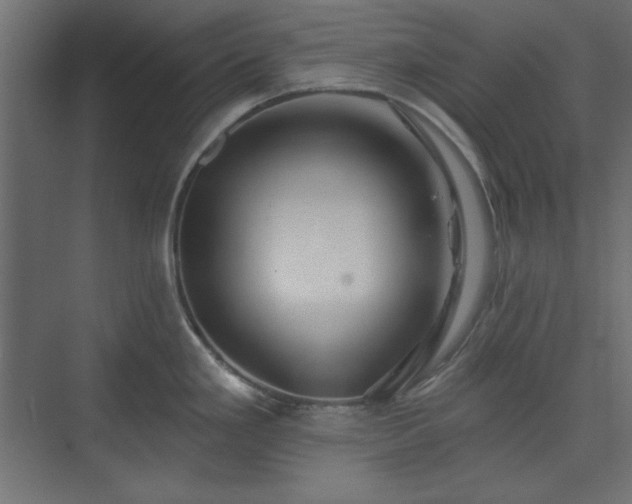 X0000073991293200608281304