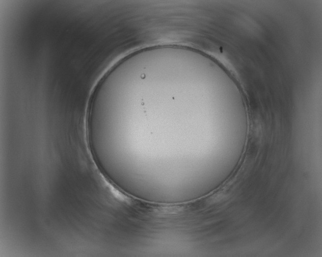 X0000073991294200608281304