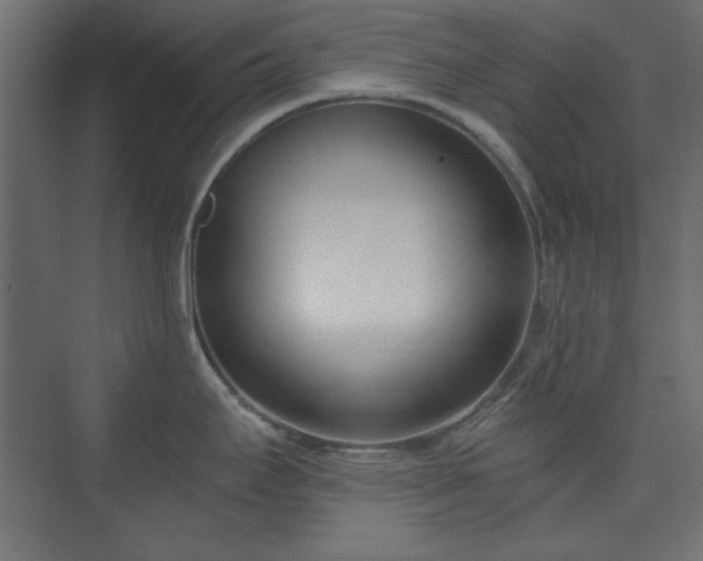 X0000073991295200608281304