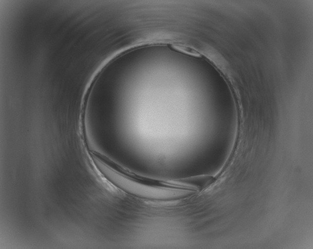 X0000073991296200608281304