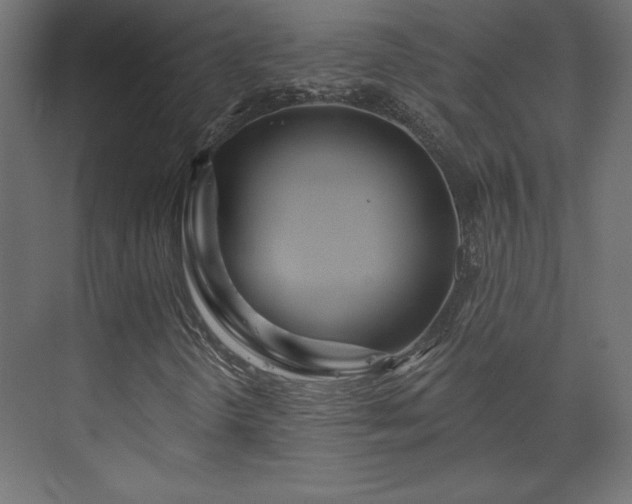 X0000073991298200608281303