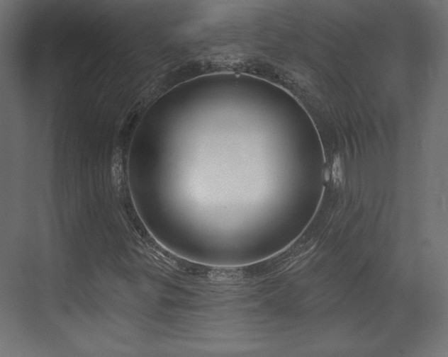 X0000073991299200608281303