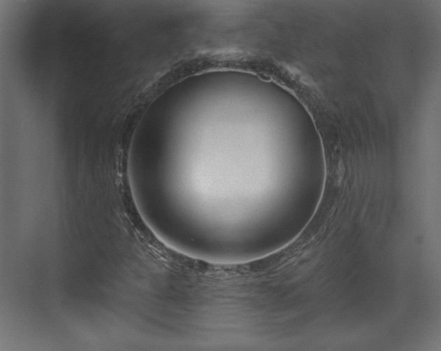 X0000073991301200608281303