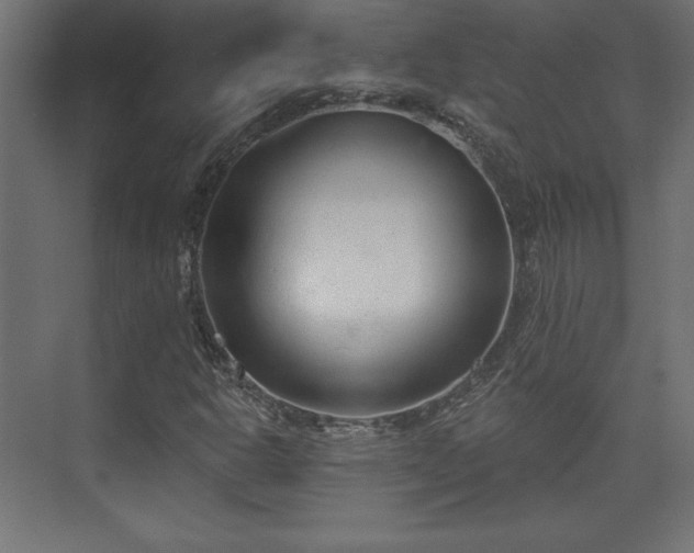 X0000073991302200608281303