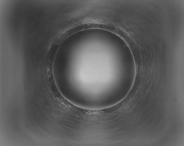 X0000073991303200608281303