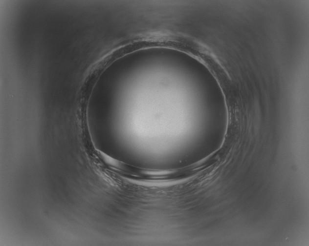 X0000073991304200608281303