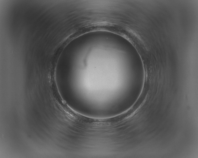 X0000073991305200608281303