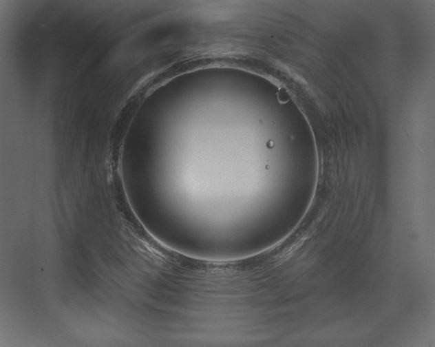 X0000073991306200608281303