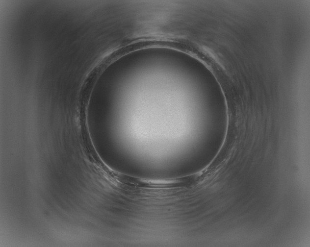 X0000073991307200608281303