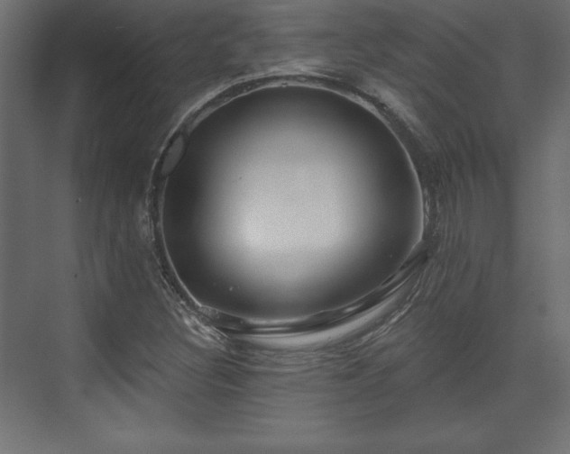 X0000073991308200608281303