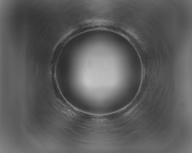 X0000073991309200608281303