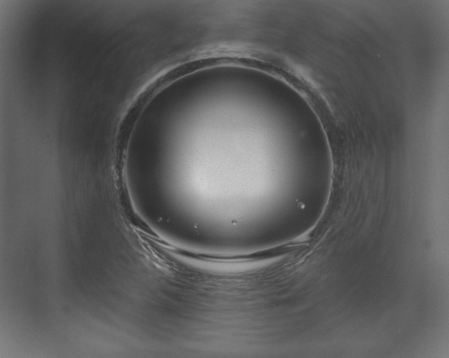 X0000073991312200608281303