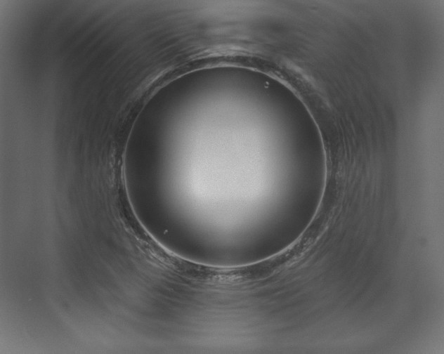 X0000073991313200608281303