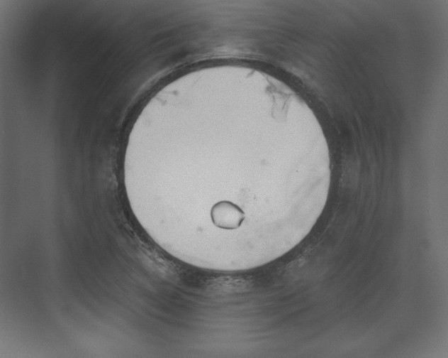 X0000073991314200608281303