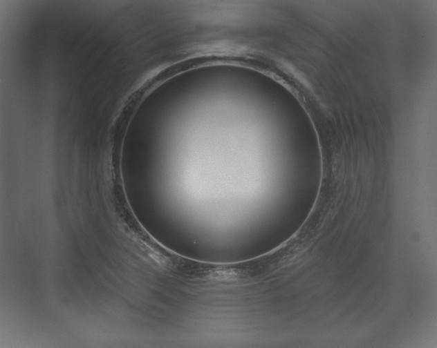 X0000073991315200608281303