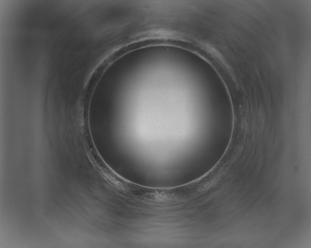 X0000073991318200608281303