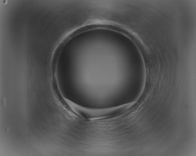 X0000073991319200608281304